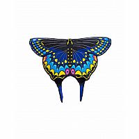 Black Swallowtail Wings