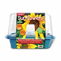 Dwarf Sunflower Sprouter