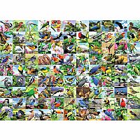 300 pc 99 Delightful Birds Puzzle