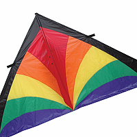 9 ft. Delta Kite - Rainbow Bursts