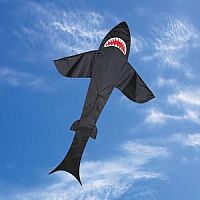 Black 5' Shark