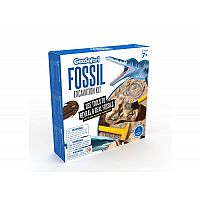 Fossil Excavation Kit