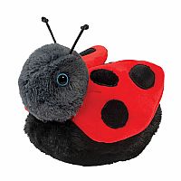Bert Ladybug