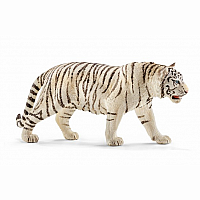 Tiger, white