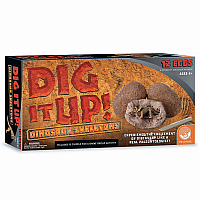 Dig It Up! Dinosaur Skeletons