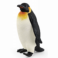 Emperor Penguin 2021
