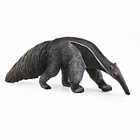 Anteater 2021