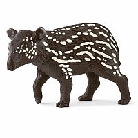 Tapir Baby 2022