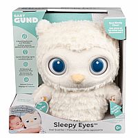 Sleeping Eyes Owl Bedtime