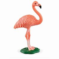 Flamingo 2022