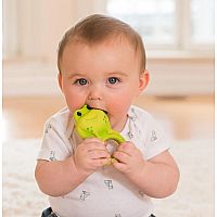 Chillin Frog Water Teether