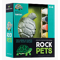Rock Pets Turtle