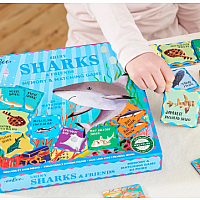 Sharks Shiny Memory