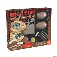 Dinosaur Excavation Kit Dig It Up