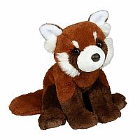 Kyrie the Soft Red Panda