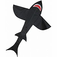 Black 5' Shark