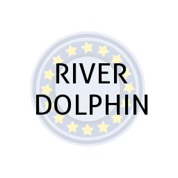 RIVER DOLPHIN
