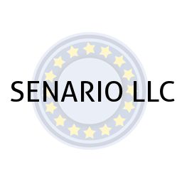 SENARIO LLC